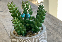 Pebble Turq Earring