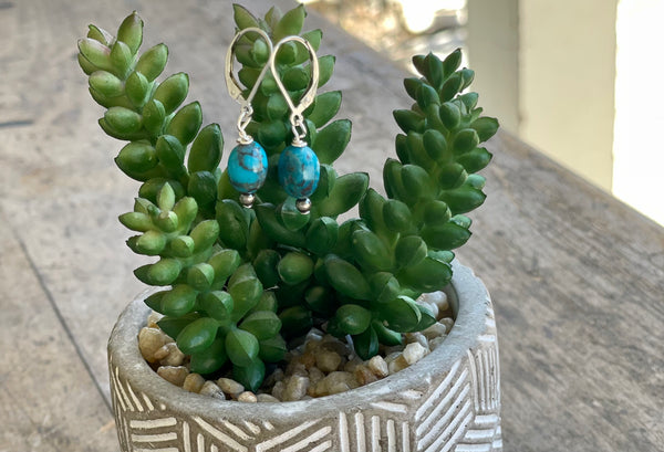 Pebble Turq Earring