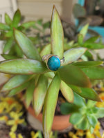 Camila Ring