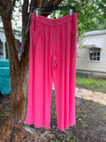 Arya Pant